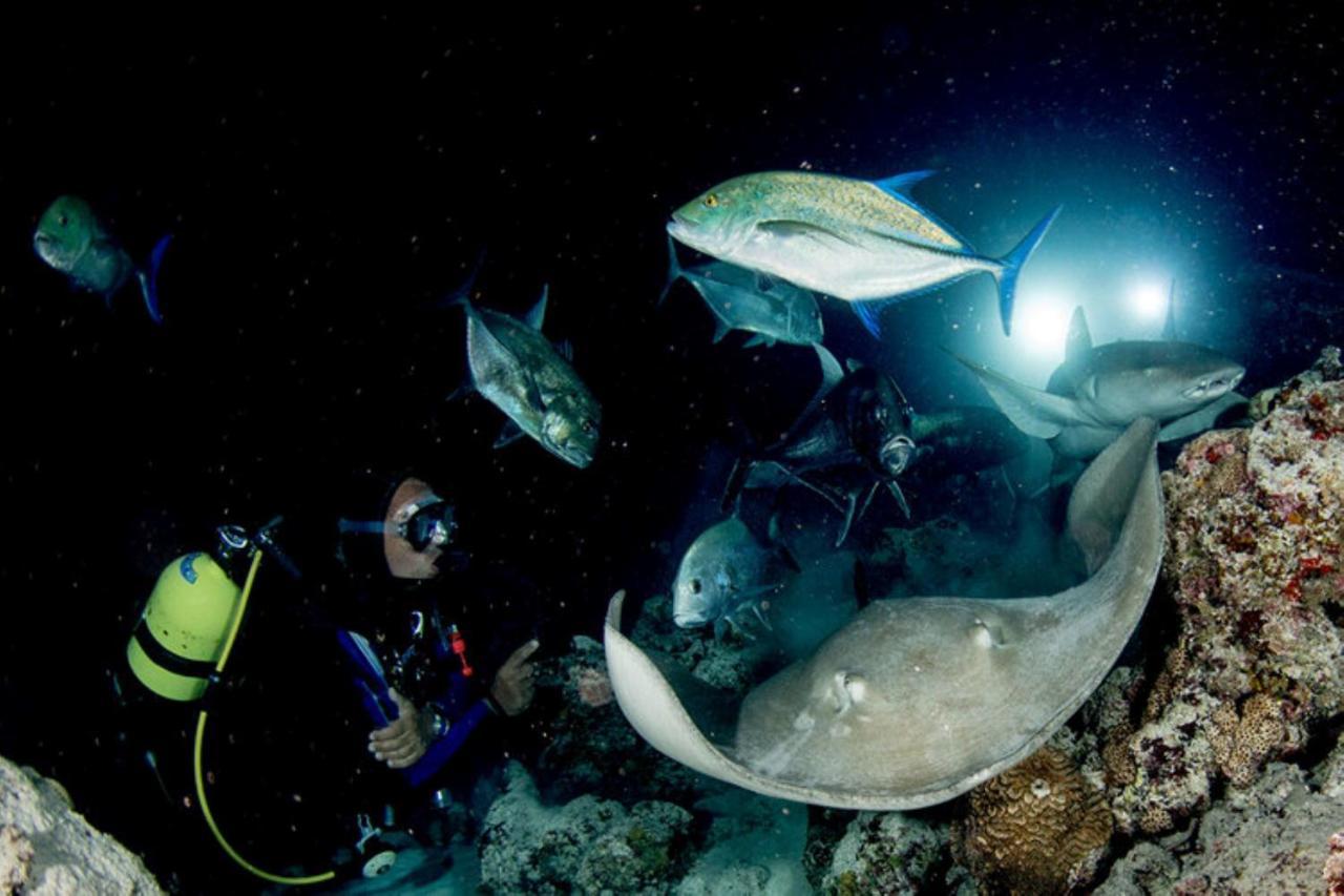 Hotel And Dive Center Roatan Yacht Club French Harbour Dış mekan fotoğraf