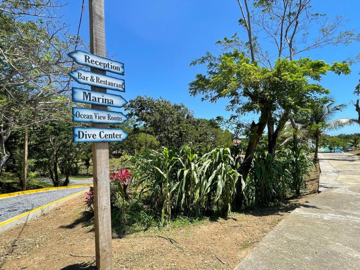 Hotel And Dive Center Roatan Yacht Club French Harbour Dış mekan fotoğraf
